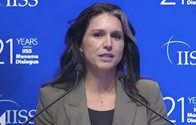 সরকার পরিবর্তনে যুক্তরাষ্ট্রের হাত থাকার ইঙ্গিত দিলেন তুলসি গ্যাবার্ড