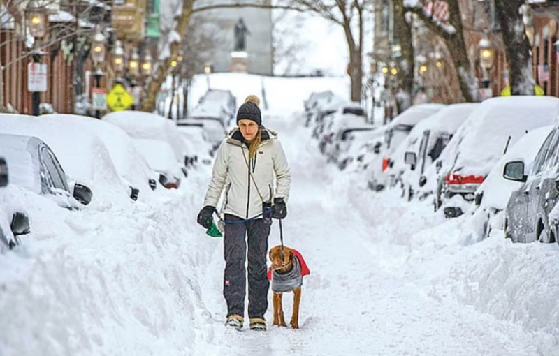 ভয়াবহ তুষারঝড়ের কবলে যুক্তরাষ্ট্র, বহু প্রাণহানি